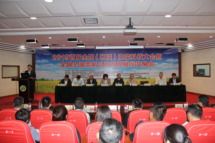 1558666884955228.jpg 11.jpg