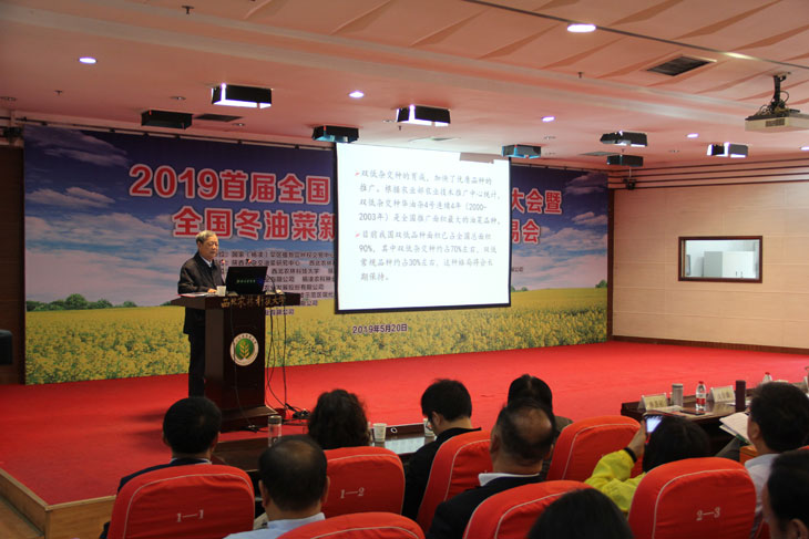 1558666911886152.jpg 33.jpg