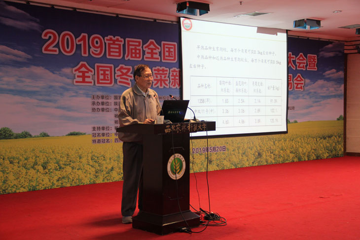 1558666922833414.jpg 44.jpg