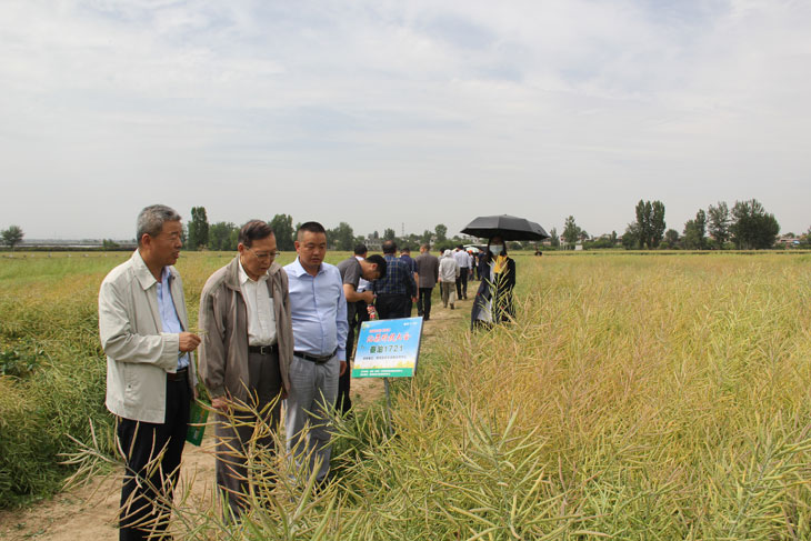 1558666936622261.jpg 55.jpg