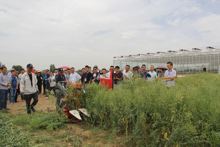 1558666951431872.jpg 66.jpg