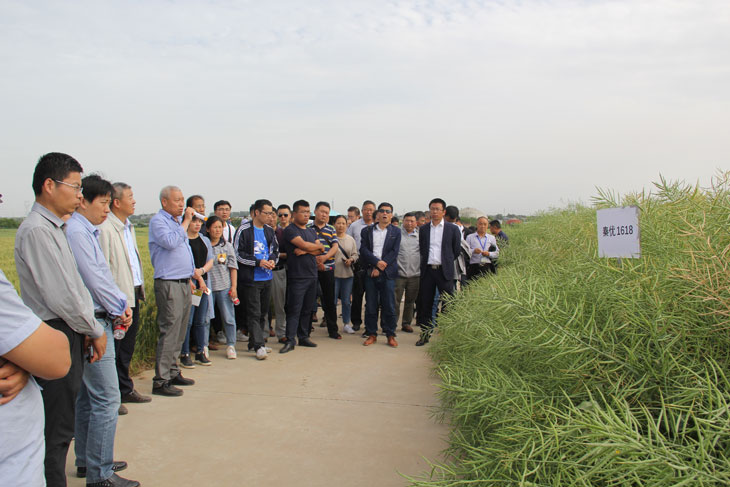 1558666965105930.jpg 77.jpg