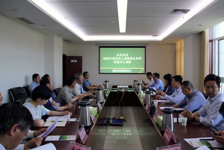 1558690240521653.jpg 11.jpg