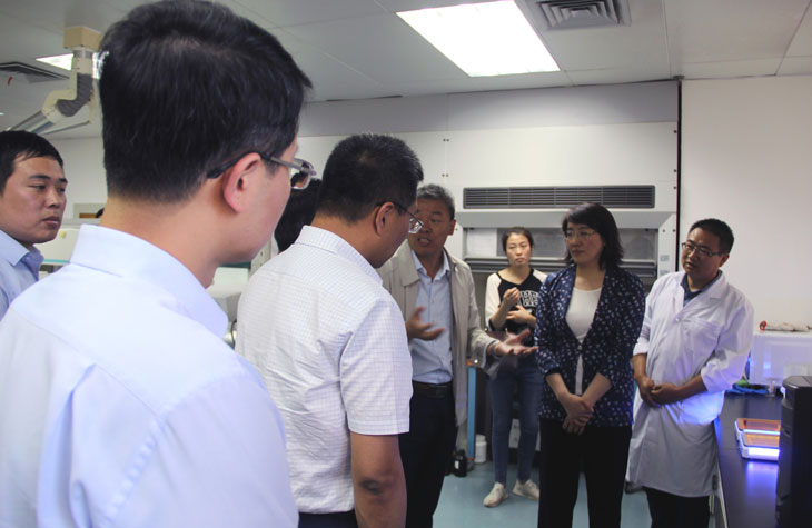 1558690263170637.jpg 33.jpg