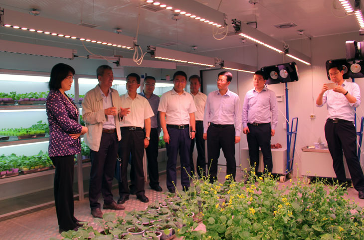 1558690278139447.jpg 44.jpg