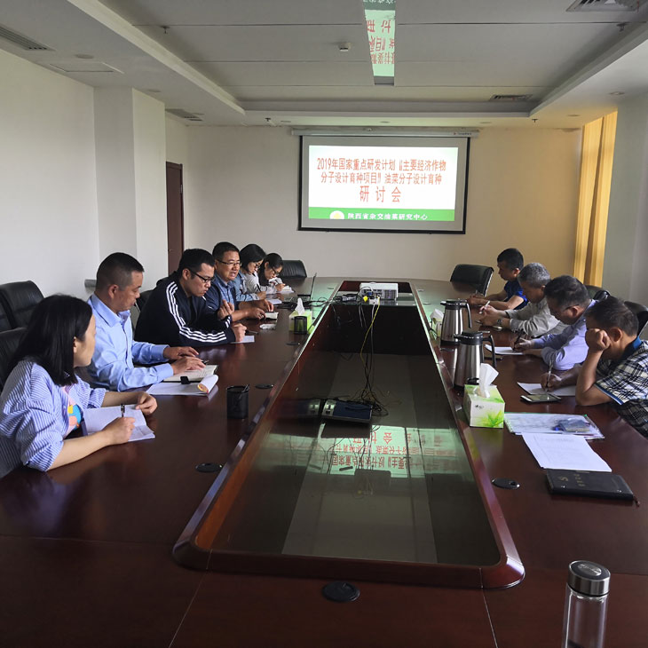 1558920348273567.jpg 11.jpg