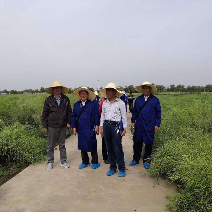 1558920360977502.jpg 22.jpg