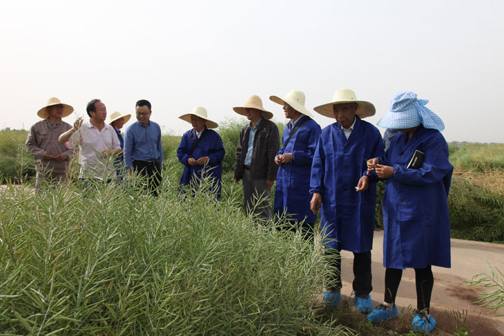 1558920373172451.jpg 33.jpg