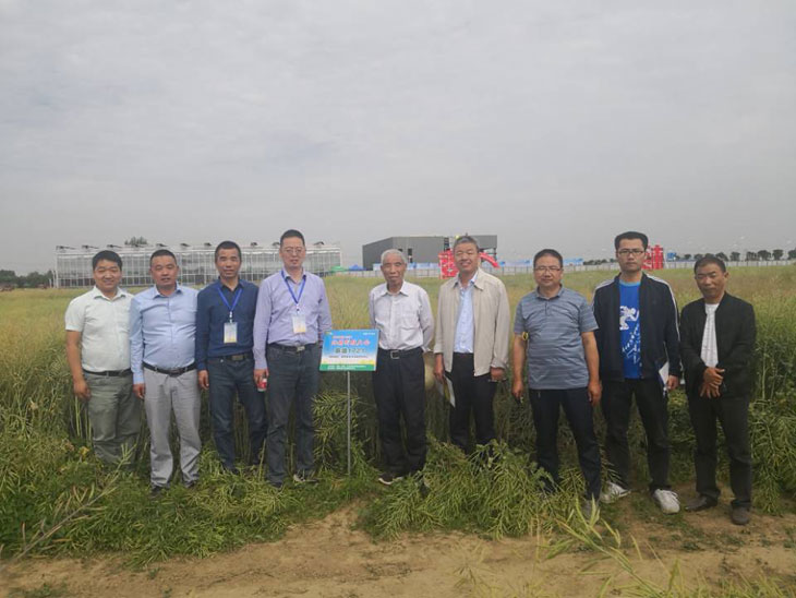 1558920388457849.jpg 44.jpg