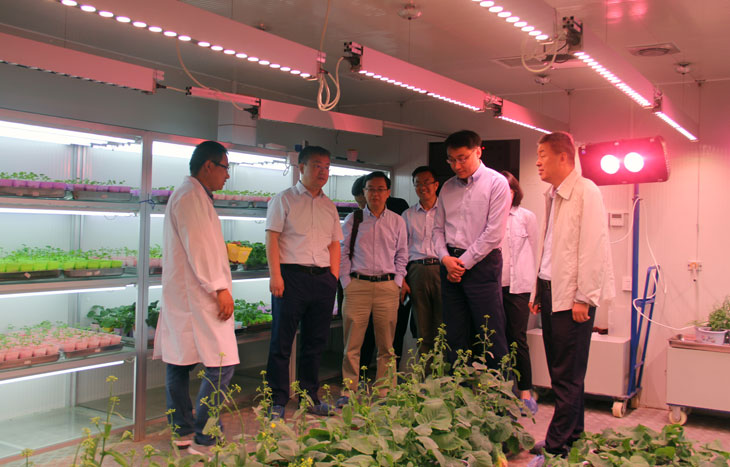 1559789195945773.jpg 44.jpg