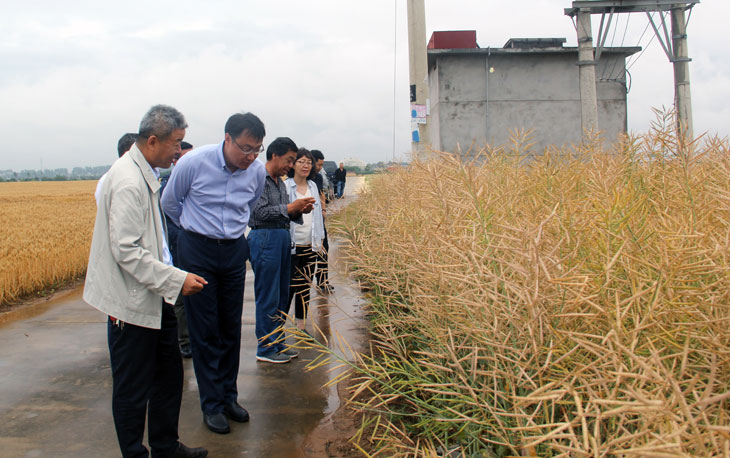 1559789210564700.jpg 55.jpg