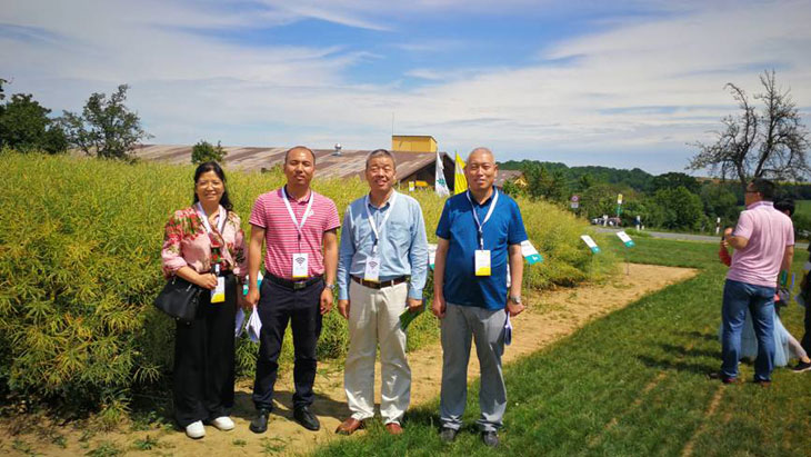 1563153635163002.jpg 33.jpg