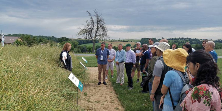 1563153646624515.jpg 44.jpg