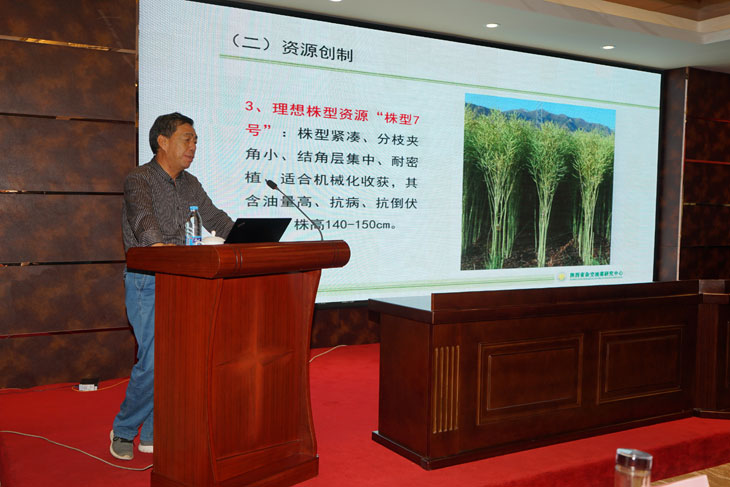 1566381523761399.jpg 33.jpg