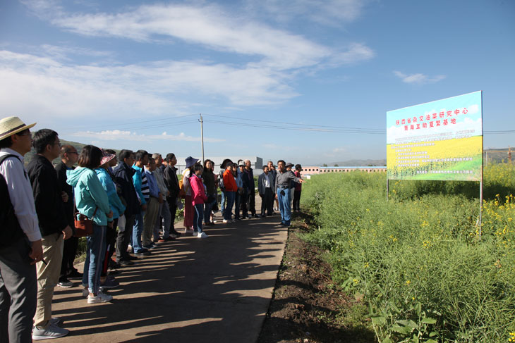 1566381551221076.jpg 55.jpg