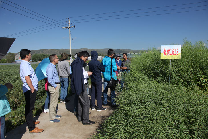 1566381564996550.jpg 66.jpg