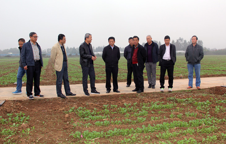 1571909678543263.jpg 4院士_副本.jpg