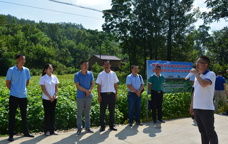 1572511281655281.jpg 4_副本.jpg