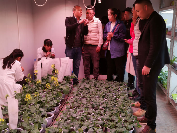 1573196206112577.jpg 22.jpg