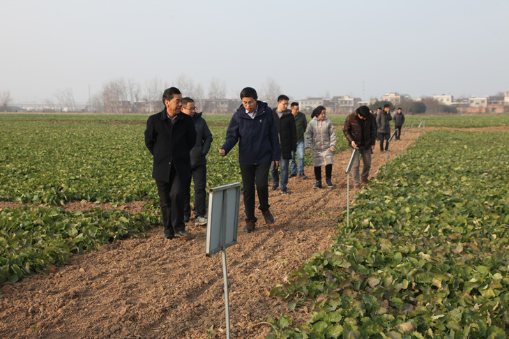 1578995653258335.jpg 4_副本.jpg