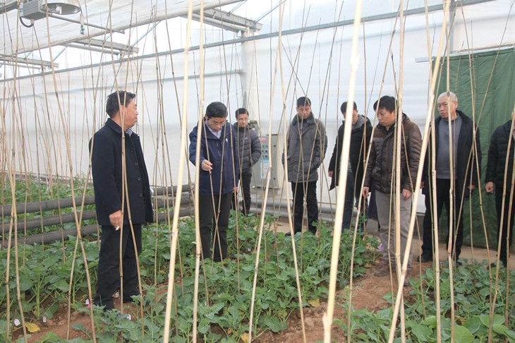 1578995677539132.jpg 6副本.jpg