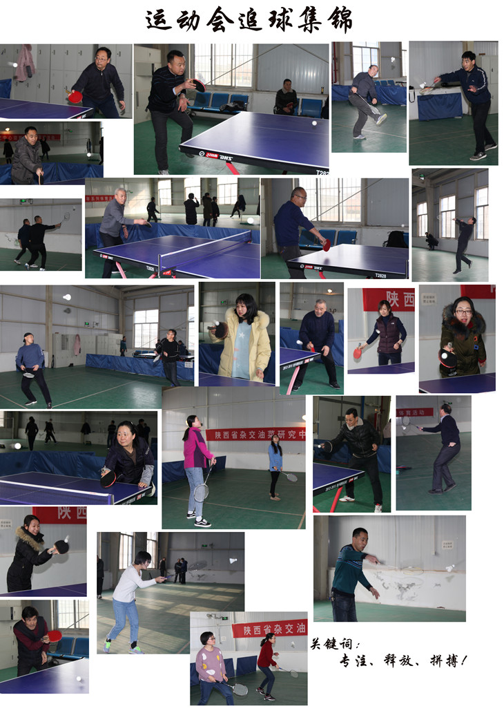 1579144099221533.jpg 2020年运动会追球集锦_副本.jpg