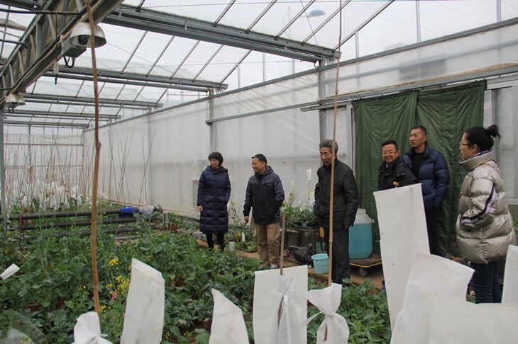 1579251214408994.jpg 1_副本.jpg