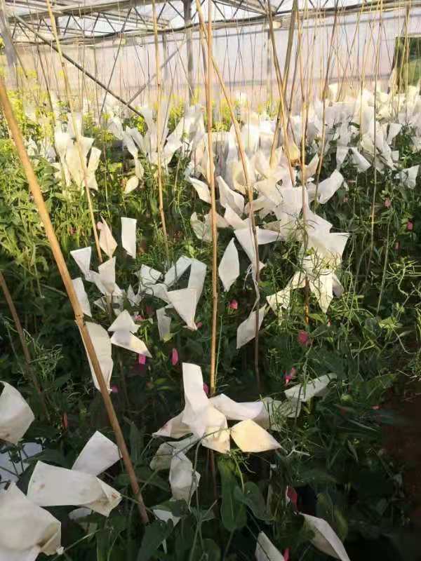 1580976381974699.jpg 6.jpg