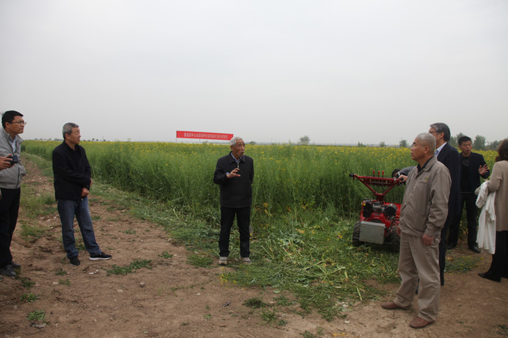 1587370673437765.jpg 图2_副本.jpg