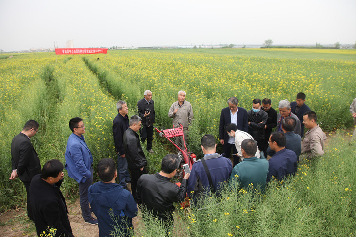 1587370695482894.jpg 图3_副本.jpg