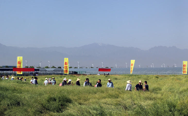 1589531139847512.jpg 照片1_副本.jpg