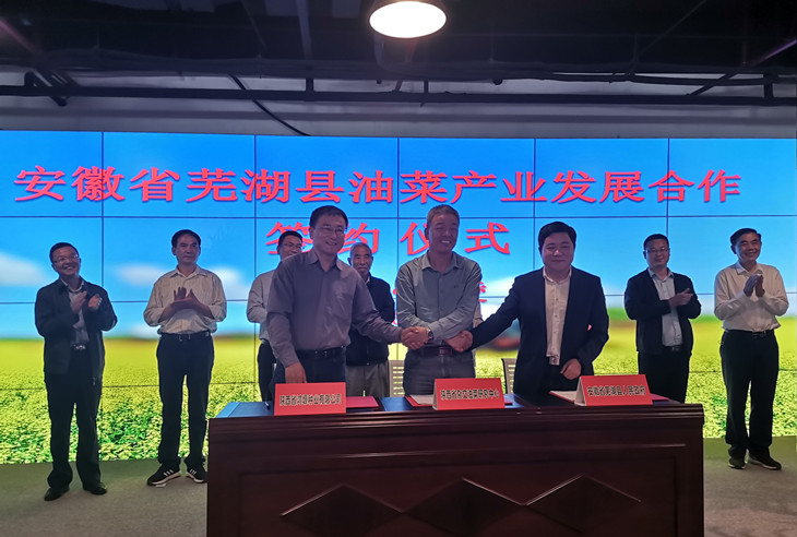 1589531159903627.jpg 照片2_副本.jpg