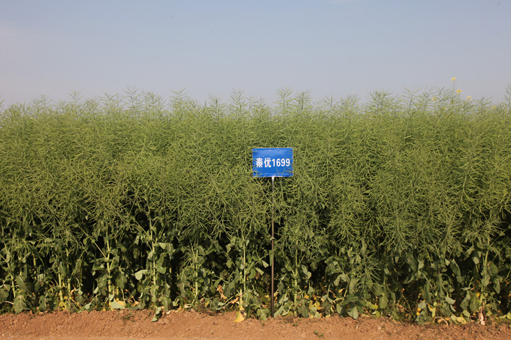 1589531175139474.jpg 3_副本.jpg