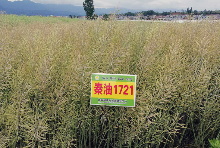 1589531280408453.jpg 照片5_副本.jpg