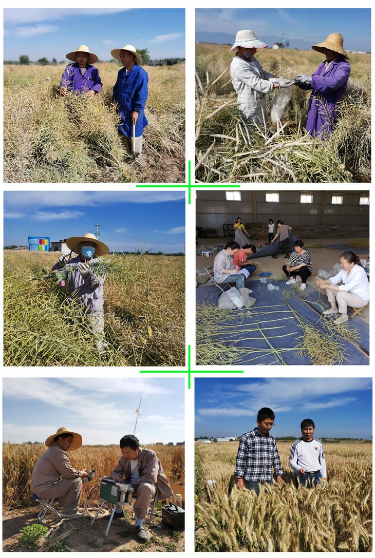 1590743727586399.jpg 5_副本.jpg