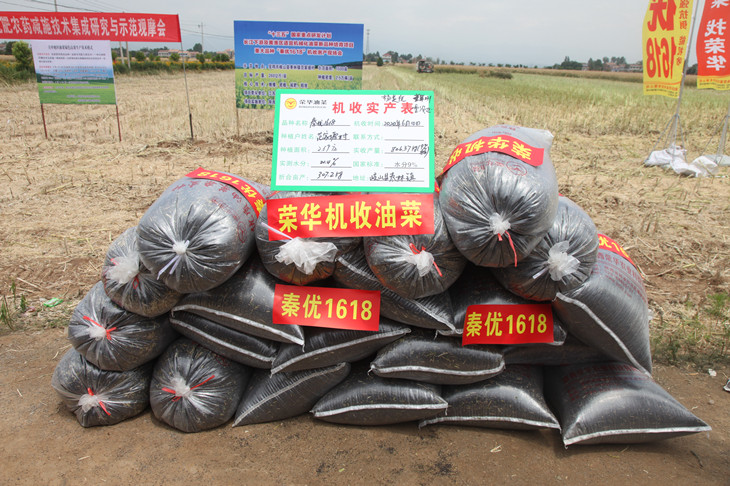 1591867336678640.jpg 5_副本.jpg