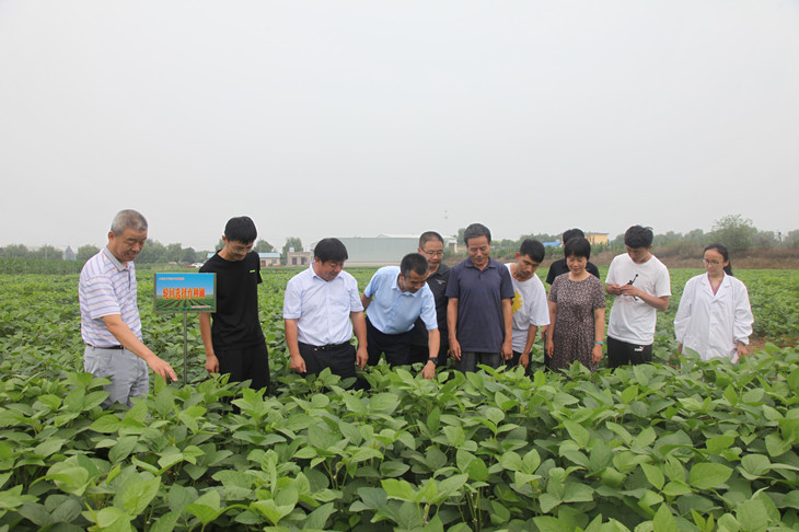 1597135752613470.jpg 2._副本.jpg