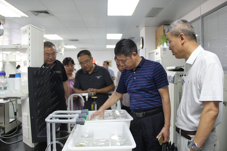 1597136530795070.jpg 1_副本.jpg