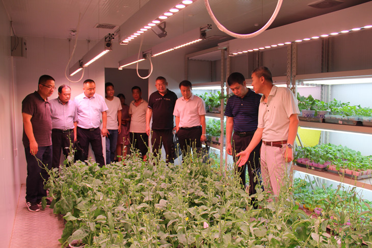 1597136567942694.jpg 2_副本.jpg