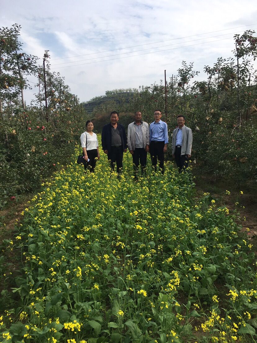 1600331945455402.jpg QQ图片20200917163103.jpg