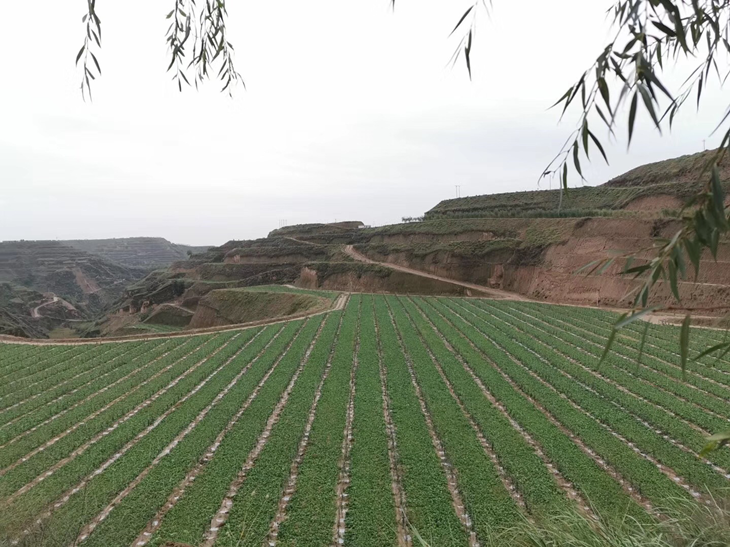 1600657620625828.png 图片1_副本.png