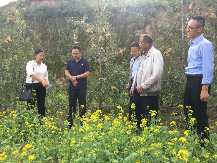 1600657654181215.png 图片2_副本.png