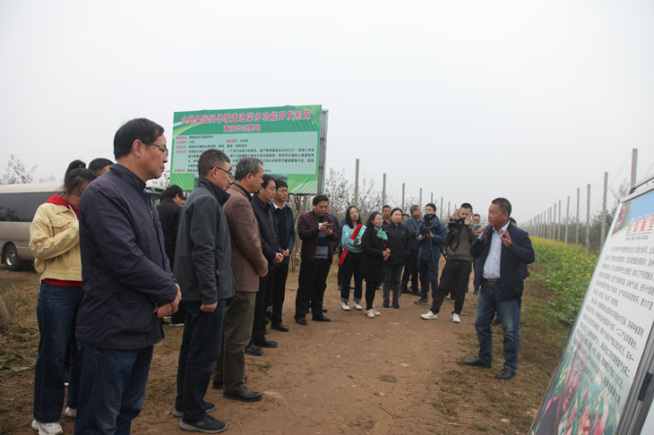 1602925063707414.jpg 2_副本.jpg