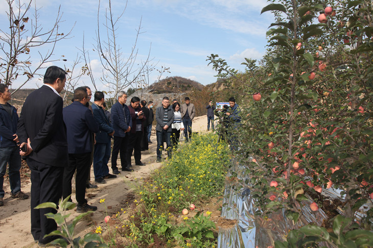 1602925161983467.jpg 3_副本.jpg