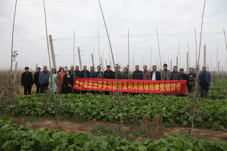 1602925180899254.jpg 4_副本.jpg