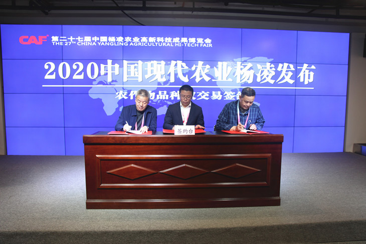 1603435540507047.jpg 3_副本.jpg