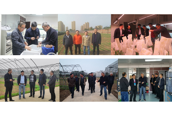 1603879840848938.jpg 来访交流照片_副本.jpg