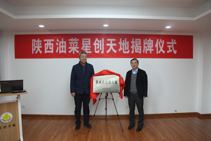 1607591592437581.jpg 2_副本.jpg