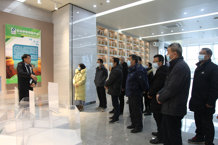 1612256287440543.jpg 1_副本.jpg