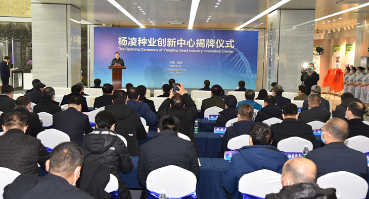 1612491240742318.png 3_副本.png